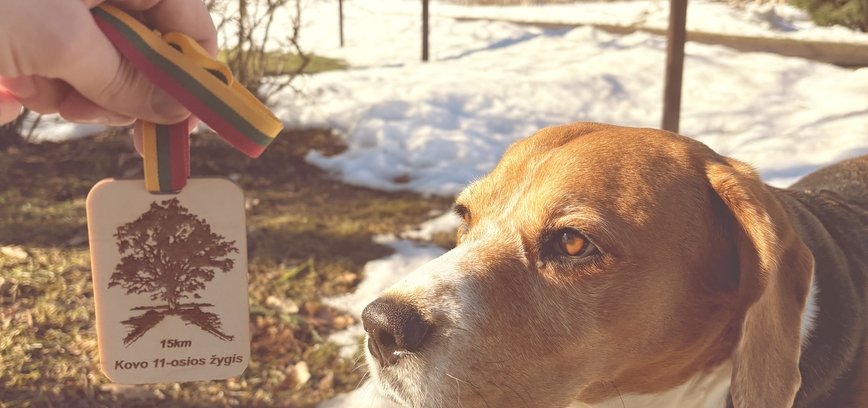 Kovo 11-osios žygis Mosėdis - Laukių ąžuolas - Mosėdis