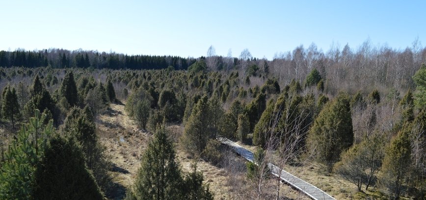 Šauklių riedulynas