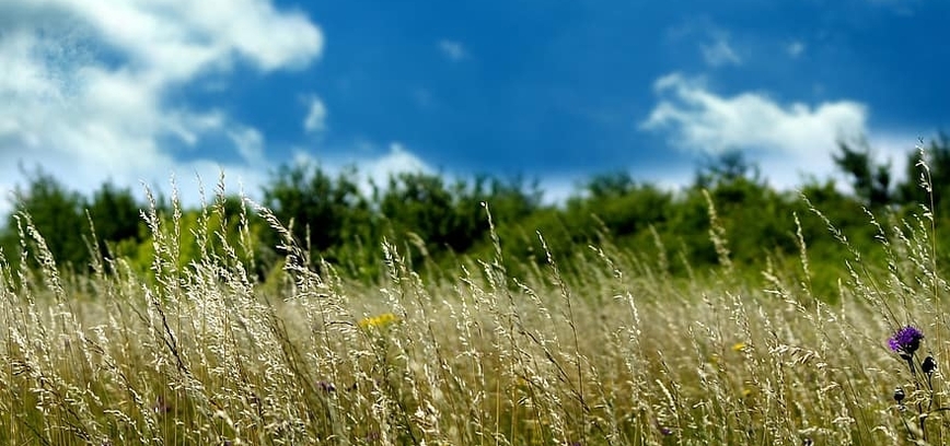 Viskas, noriu į Skuodą'22!