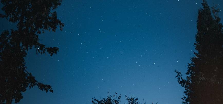 Palapinių žemėlapis