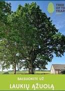 2026 metų Europos medžio rinkimai prasidėjo!