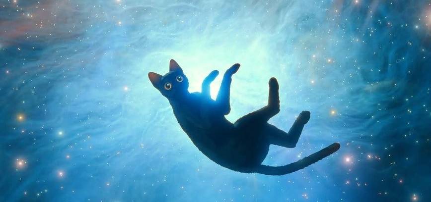 Animacinis filmas „Potvynis