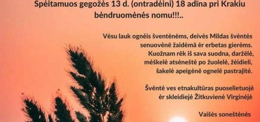 Mildos dienos šventė