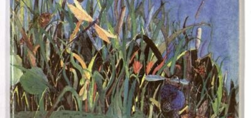 Literatūros paroda „Nuo varlytės iki varlės“, skirta rašytojo Stasio Jonausko 75-sioms gimimo metinėms pažymėti