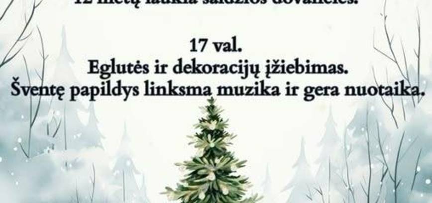 Kalėdų eglės įžiebimo šventė Aleksandrijoje