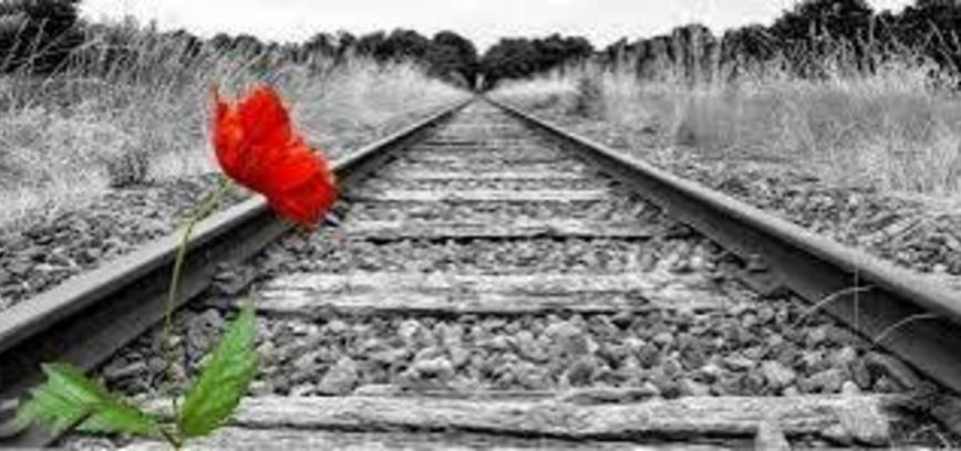 Moliūgų žibintų šventė