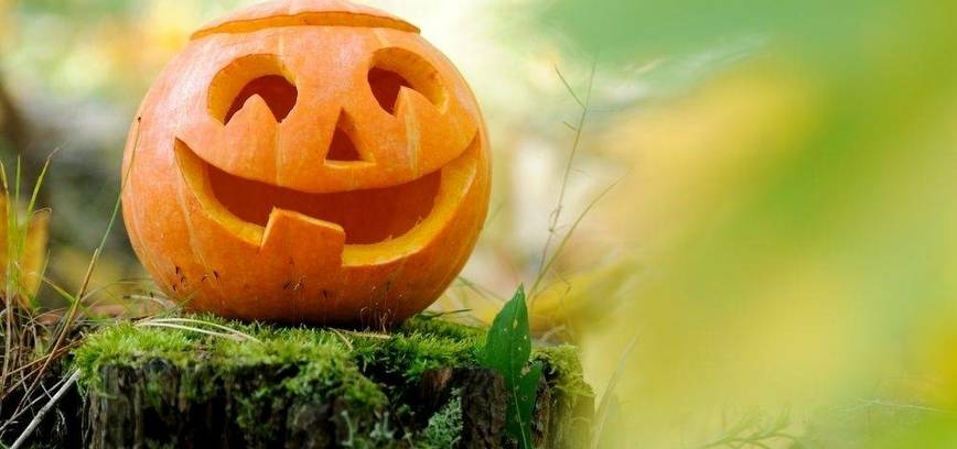 Moliūgų žibintų šventė