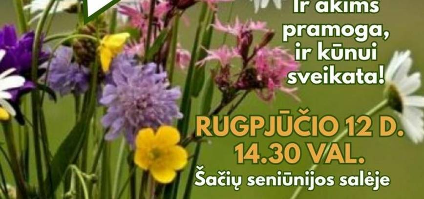 „Žolynai...žolynai...