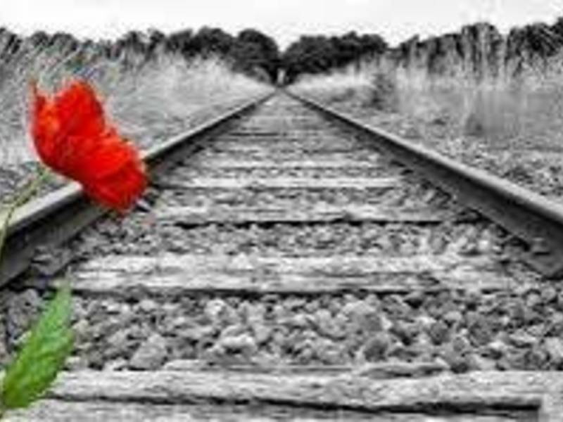 Moliūgų žibintų šventė