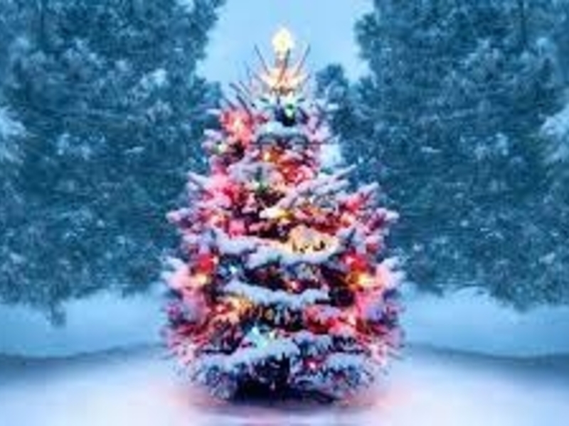 Vaikų Kalėdos ir eglutės įžiebimas