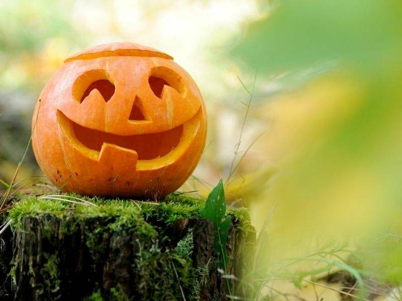 Moliūgų žibintų šventė