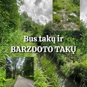  „1001 Kūlis ir Europos Ąžuolo paieškose” žygis su Barzdotu Gidu